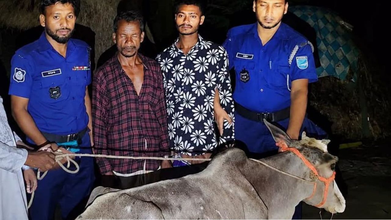 গরুসহ কটিয়াদীতে চোরচক্রের দুই সদস্য গ্রেপ্তার